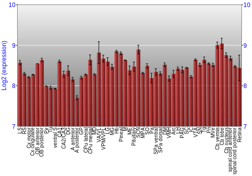 Expression graph