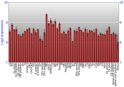 Expression graph