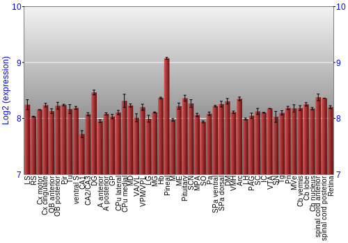 Expression graph