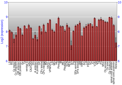 Expression graph