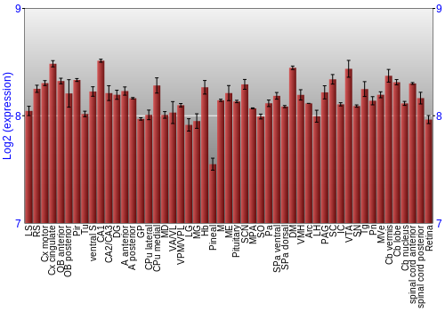 Expression graph