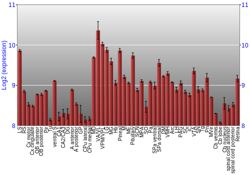 Expression graph