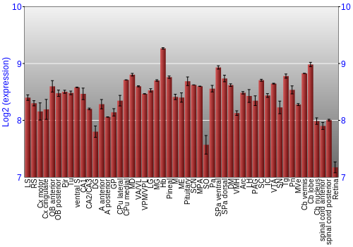 Expression graph