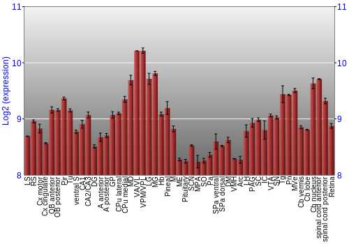 Expression graph