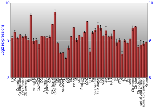 Expression graph