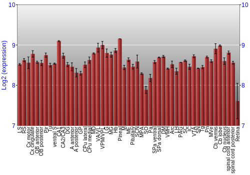 Expression graph