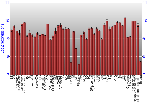 Expression graph