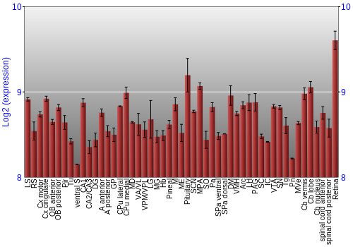 Expression graph