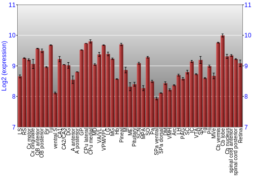 Expression graph