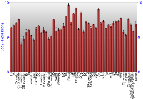 Expression graph