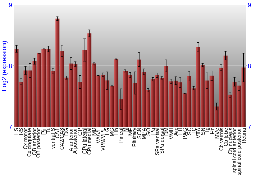 Expression graph