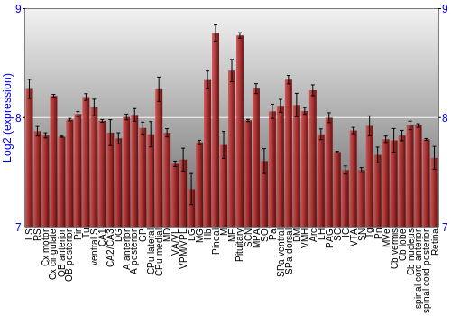 Expression graph