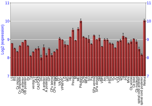 Expression graph