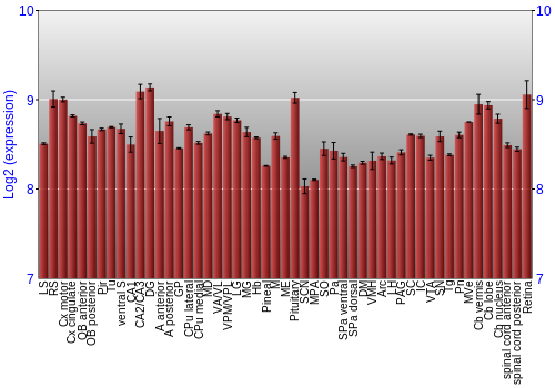 Expression graph