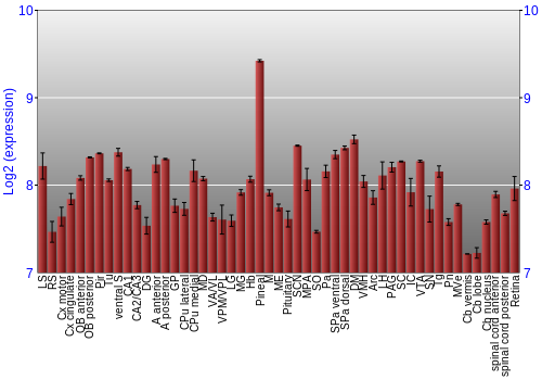 Expression graph