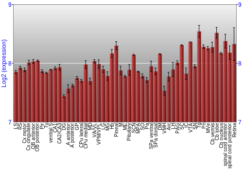 Expression graph