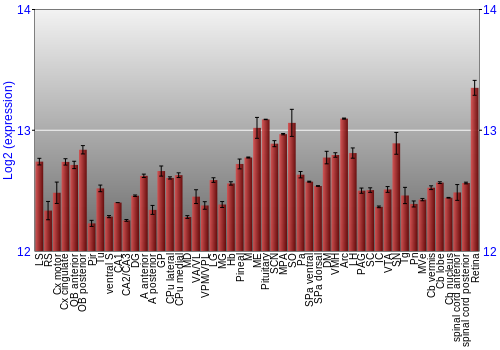 Expression graph