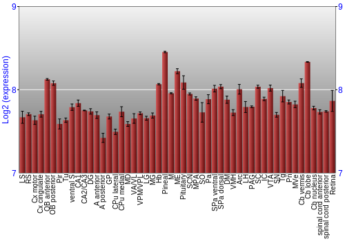 Expression graph