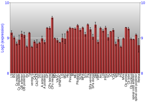 Expression graph
