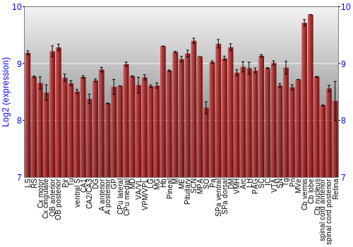 Expression graph