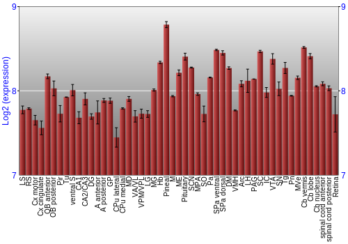 Expression graph