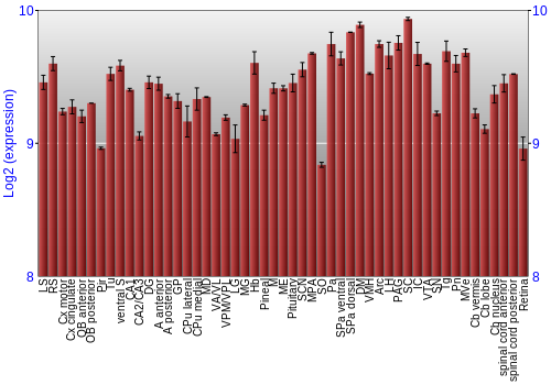 Expression graph