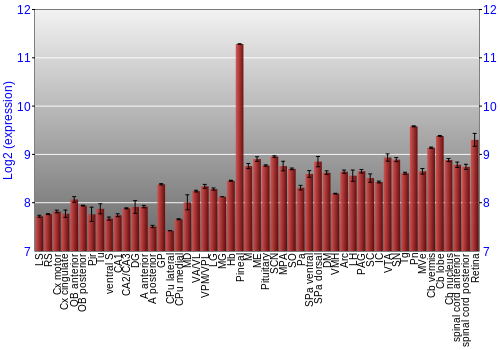 Expression graph