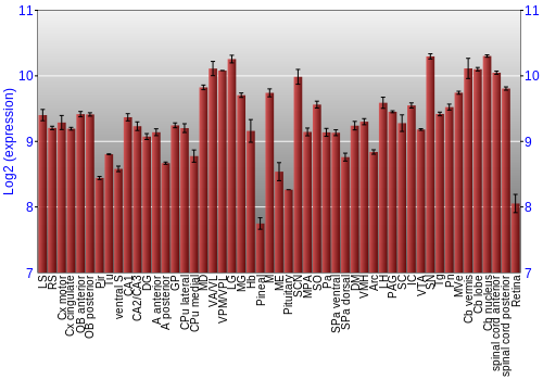 Expression graph