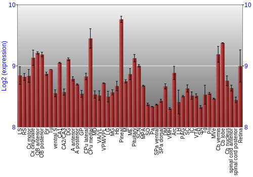 Expression graph