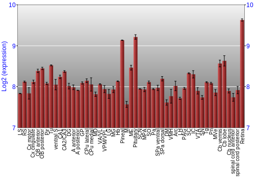Expression graph