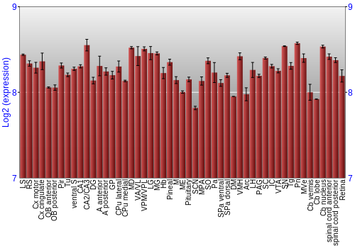 Expression graph
