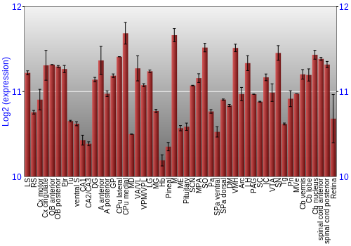 Expression graph