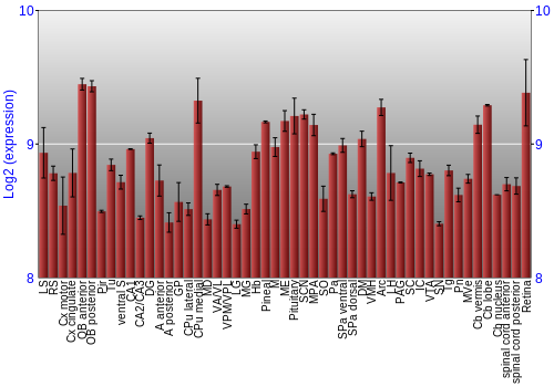 Expression graph