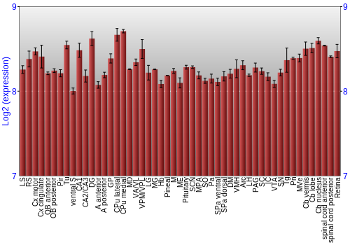 Expression graph