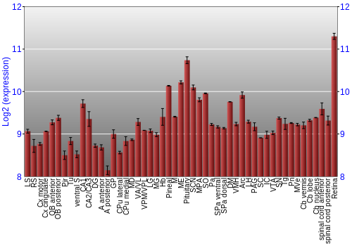 Expression graph