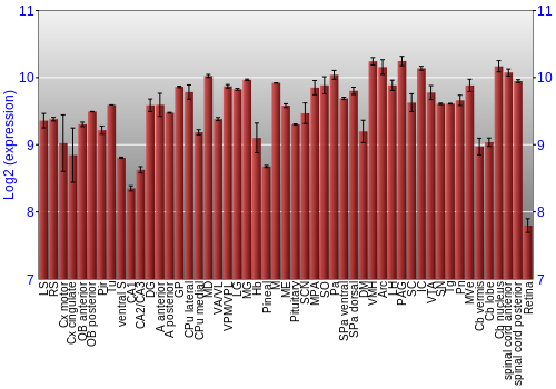 Expression graph