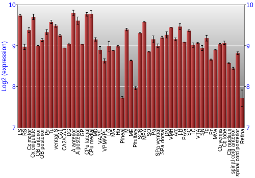Expression graph
