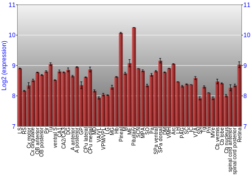 Expression graph
