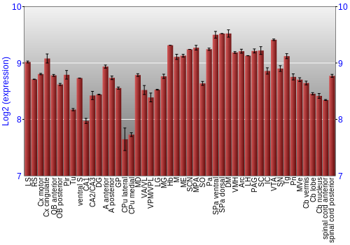 Multi-state expression graph