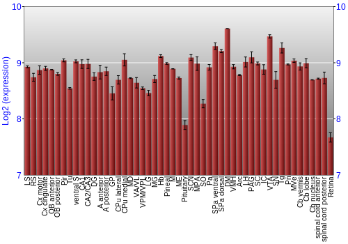 Expression graph