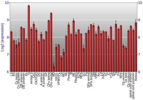Expression graph