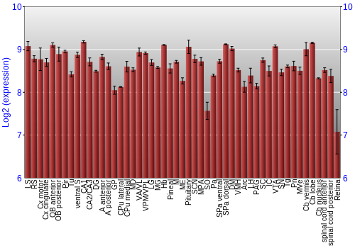 Expression graph
