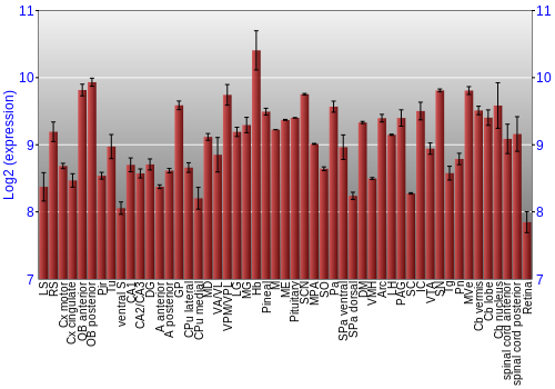 Expression graph
