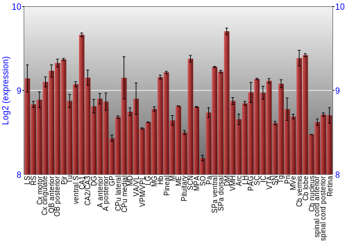 Expression graph