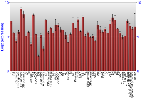 Expression graph
