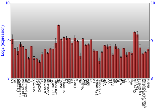 Expression graph