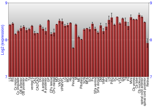 Expression graph