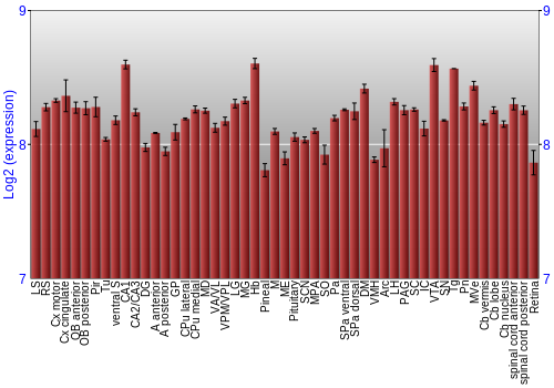 Expression graph
