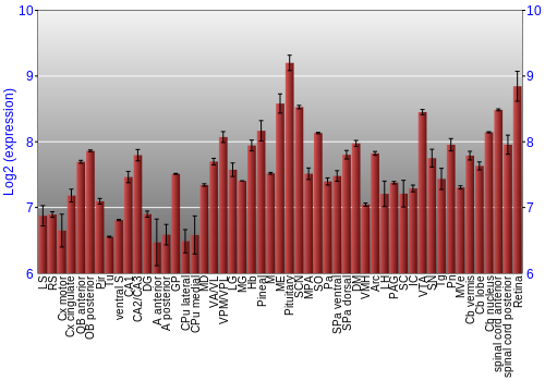 Expression graph