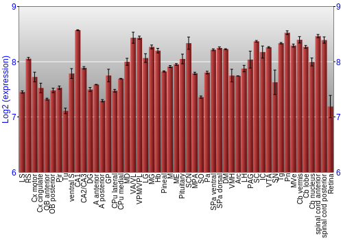 Expression graph